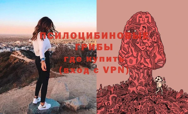 гидропоника Арсеньев