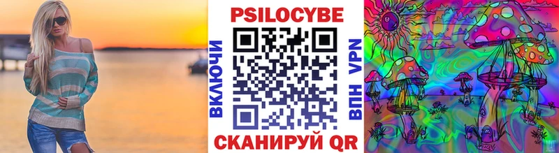 Псилоцибиновые грибы Psilocybe  darknet какой сайт  гидра   Шарья  где купить наркоту 